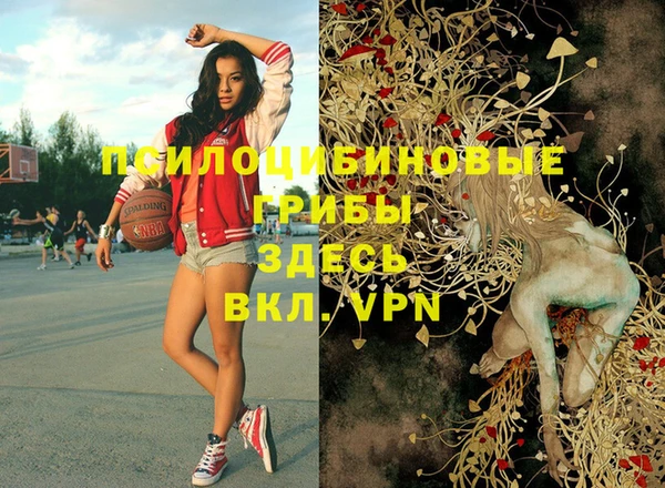 PSILOCYBIN Абинск