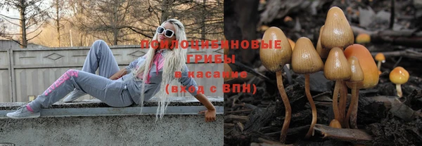 PSILOCYBIN Абинск
