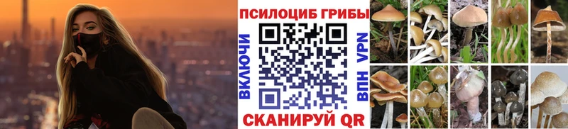 где купить наркоту Анадырь Псилоцибиновые грибы Magic Shrooms